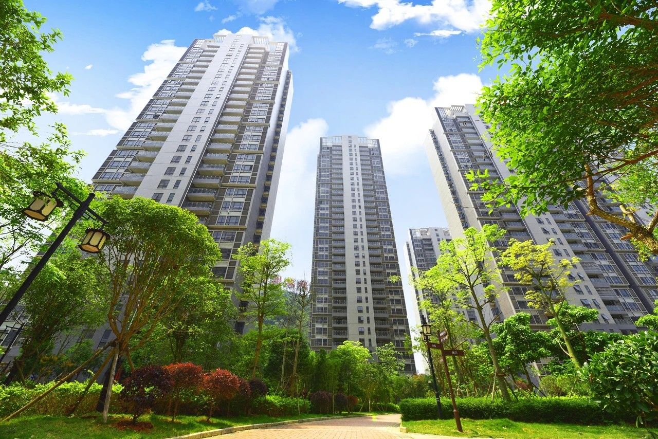 实景图