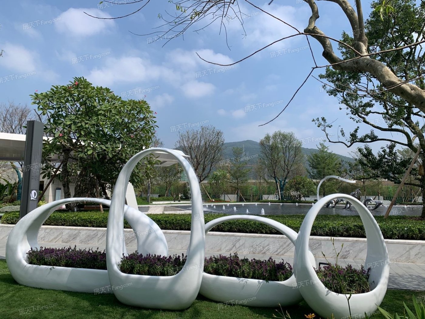 实景图