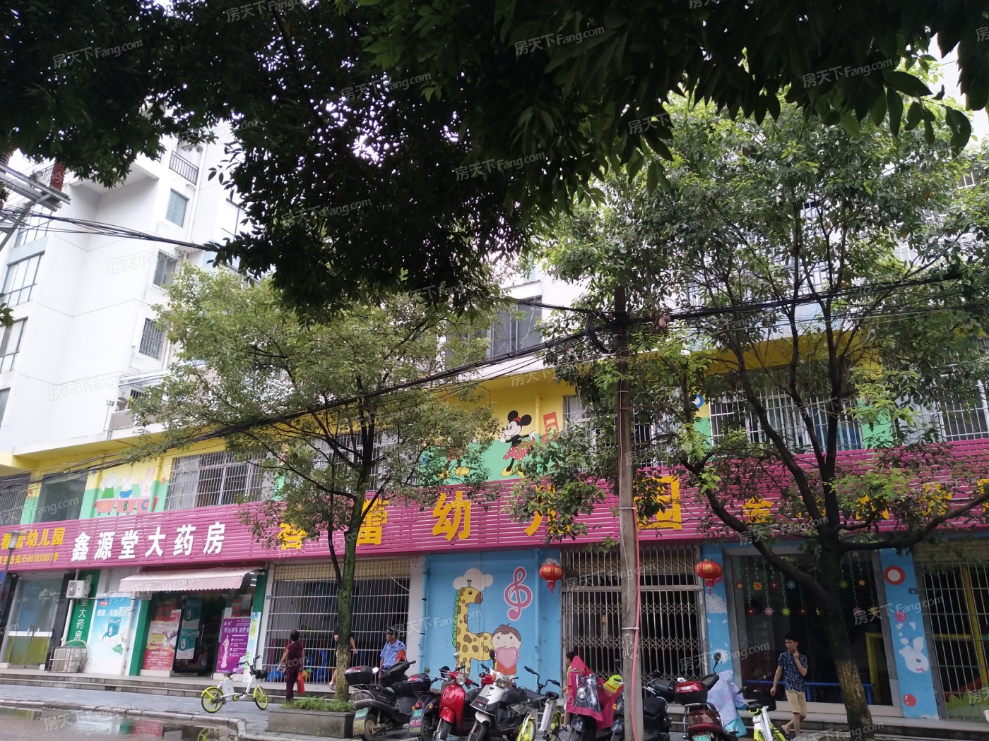 --请选择--