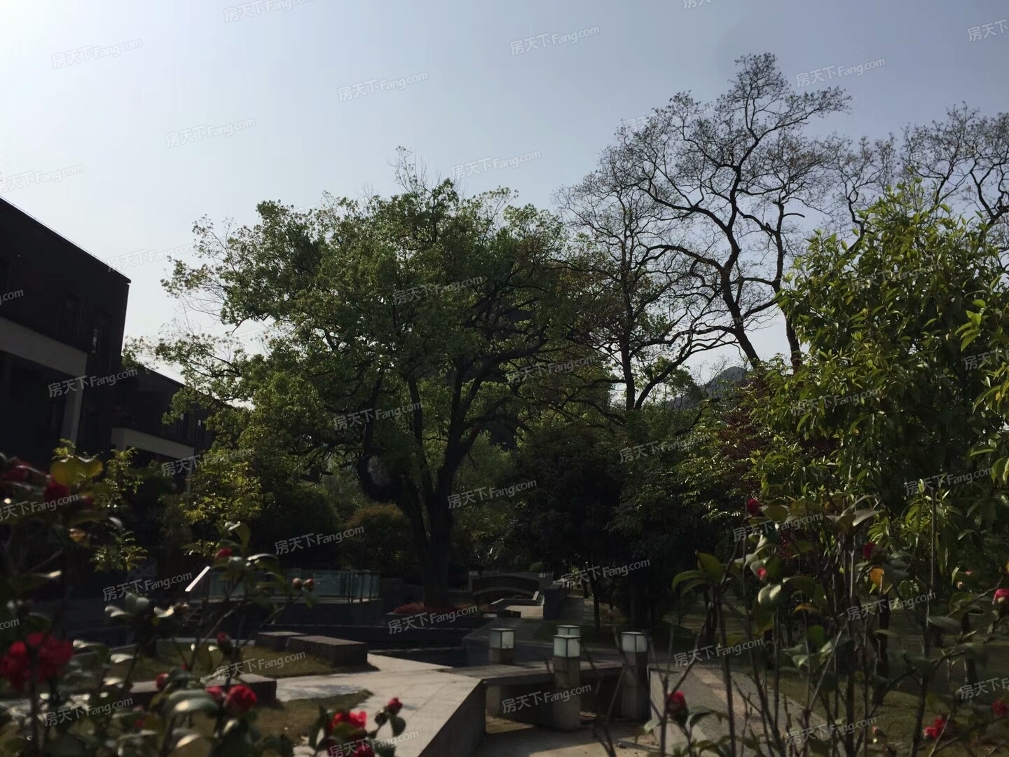 --请选择--