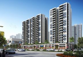 碧桂园&middot;佳诚 领英卡仕Class